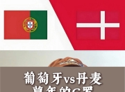 playace官网-葡萄牙惜败，剑指欧国联冠军！的简单介绍