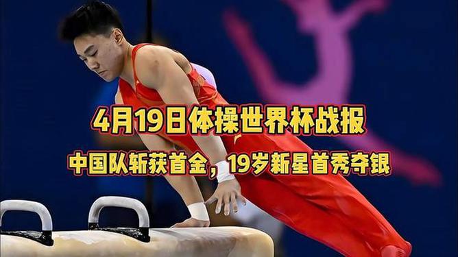韩国选手斩获男子体操个人全能金牌的简单介绍